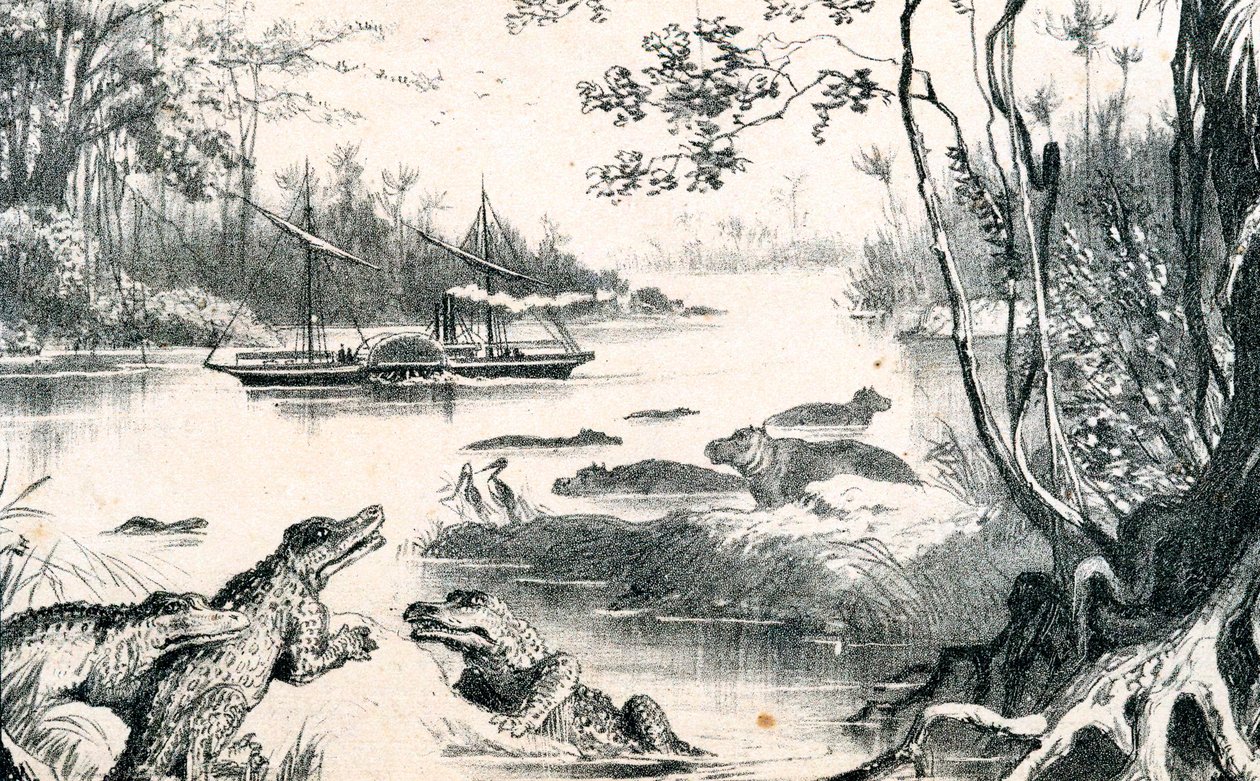 David Livingstone navigerar i Zambezi, Afrika, 1852-1864 c1878 av Unbekannt