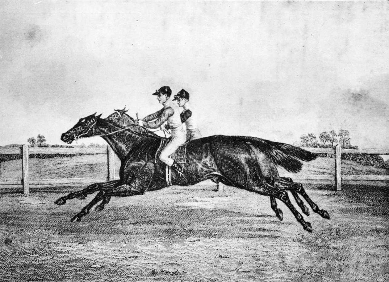Dödhet mellan Lanercost och Beeswing, 1835-1850, 1911 av Unbekannt