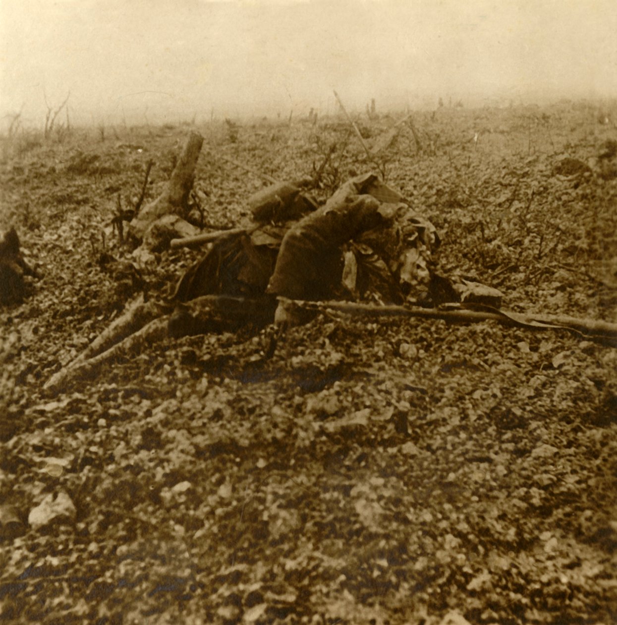 Död soldat på Hill 304, efter slaget vid Verdun, norra Frankrike, 1916 av Unbekannt