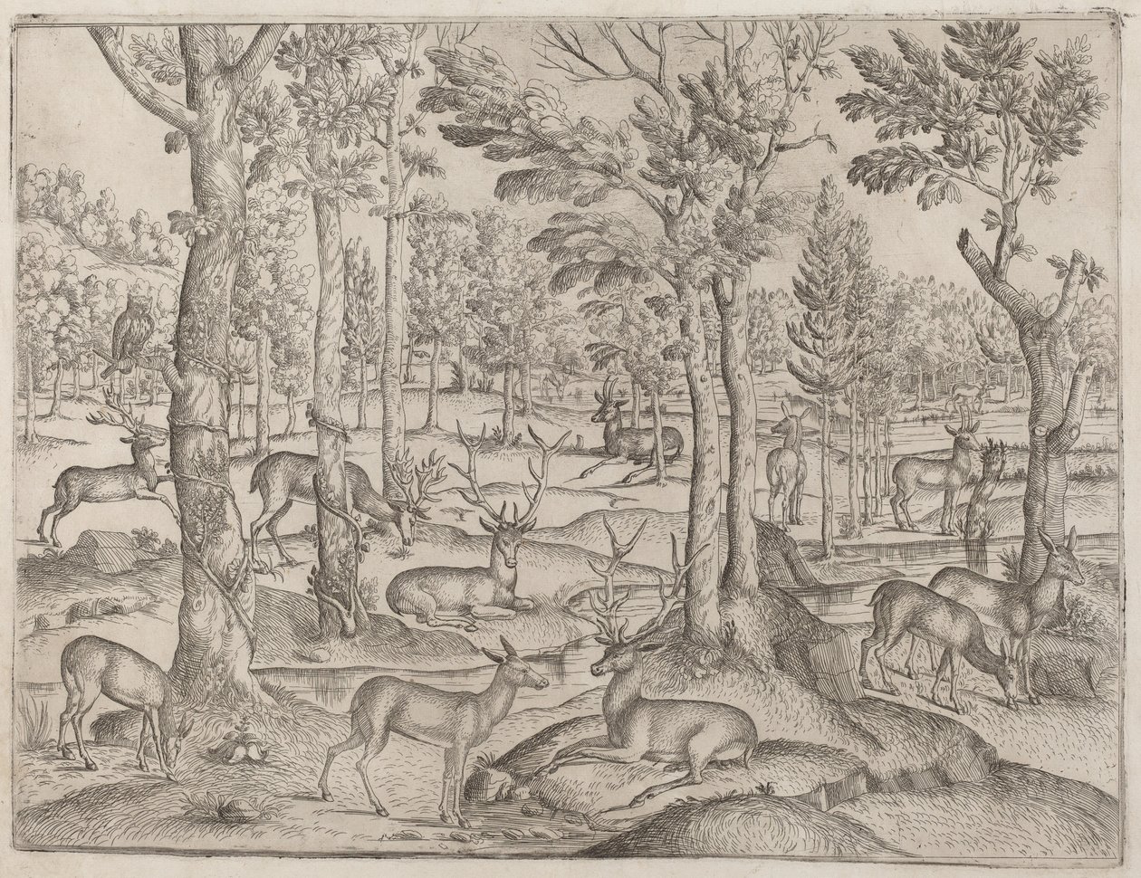 Rådjur i skogen, ca. 1520. av Unbekannt