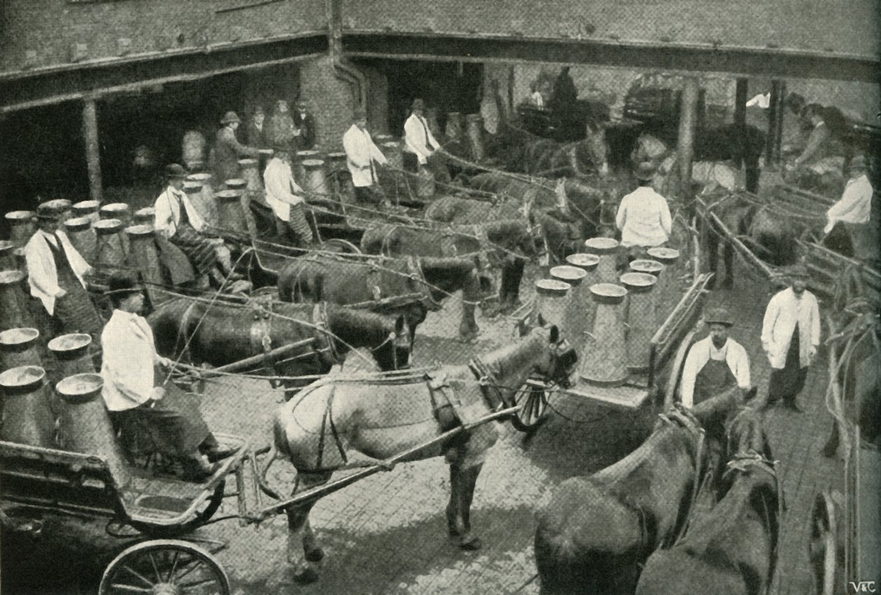 Leveransbilar med start från Mrs, Freeth och Pococks Central Depot i Vauxhall, 1902. av Unbekannt