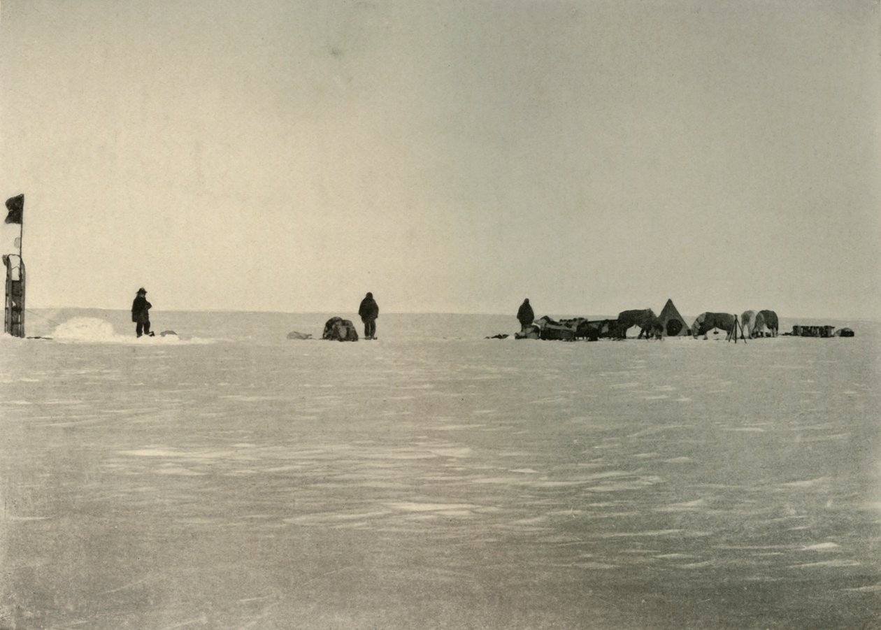 Depå A, anlagd under våren, 1908, 1909. av Unbekannt