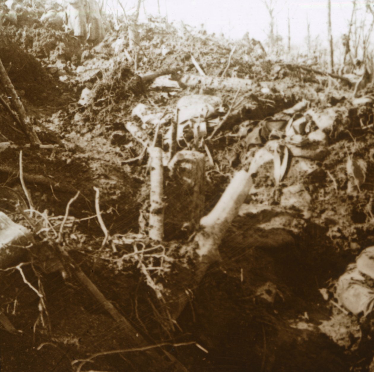 Förstört skydd, Les Éparges, norra Frankrike, 1915. av Unbekannt