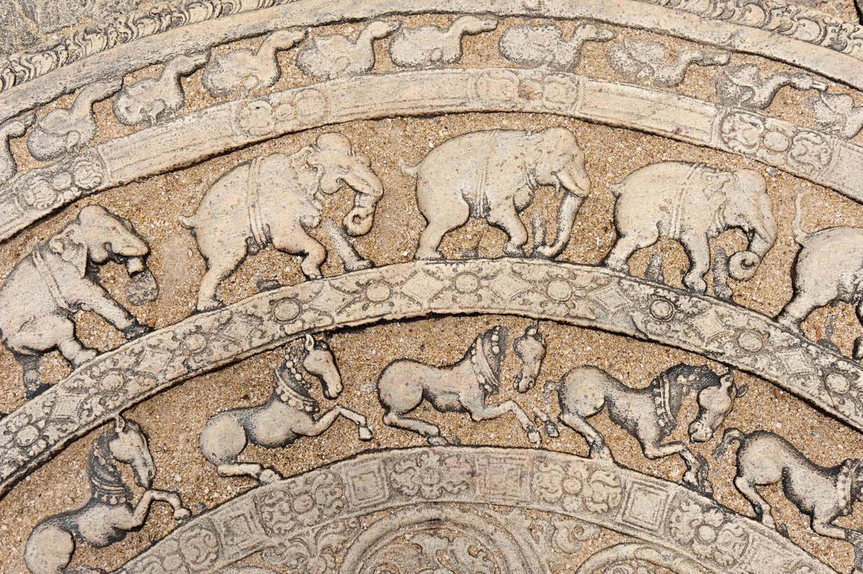 Detalj; historisk stenrelief; månsten med djurrepresentationer; elefanter; hästar; sten på en trappa; Rådssal för kung Parakrama Bahu I; innerstadsdistrikt; Polonnaruwa; Sri Lanka; Asien av Unbekannt