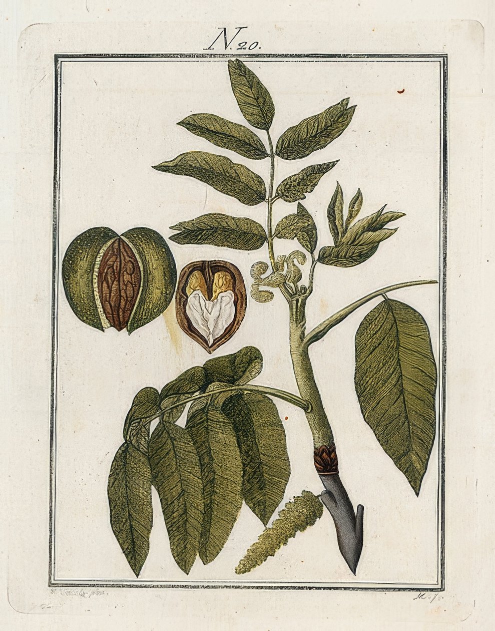 Valnöten. Världen i bilder. Volym 3. Byggare. Wien. 1790 av Unbekannt
