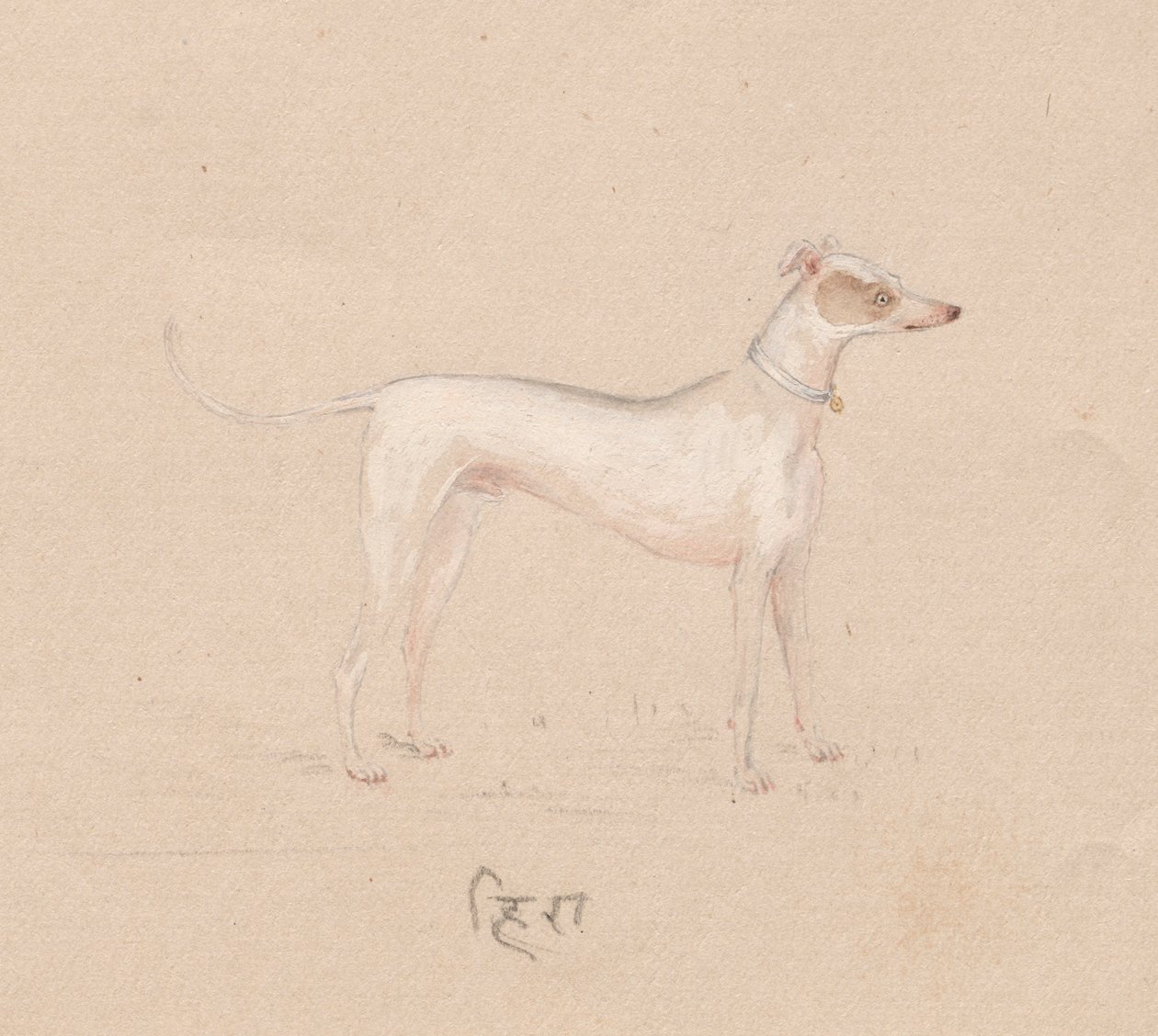 Hund, 1800-tal. av Unbekannt