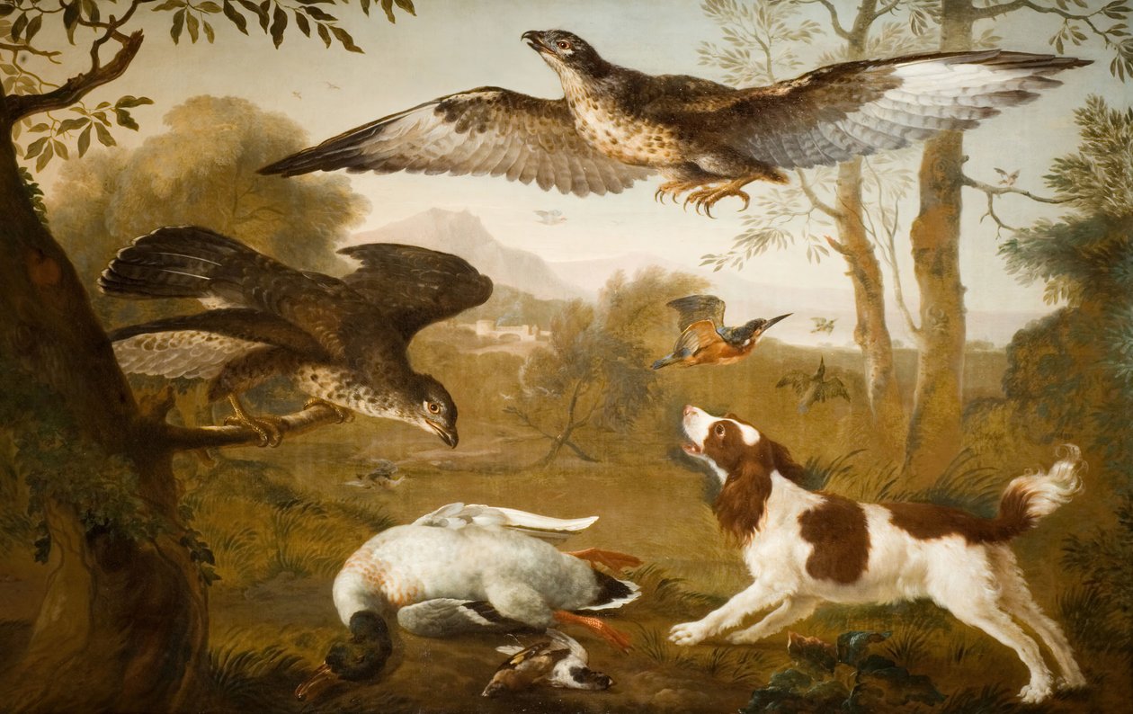 Hund som vaktar en död anka från rovfåglar, 1700-1800. av Unbekannt