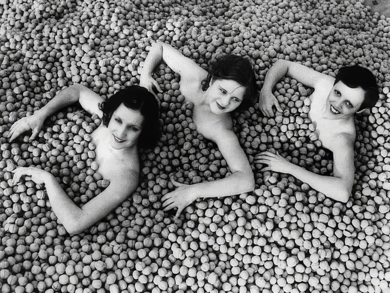 Tre unga kvinnor badar i ett hav av valnötter. Amerika. 1932 av Unbekannt