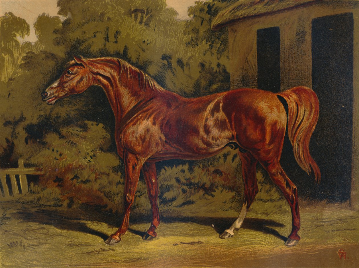 Eclipse, c1879. av Unbekannt