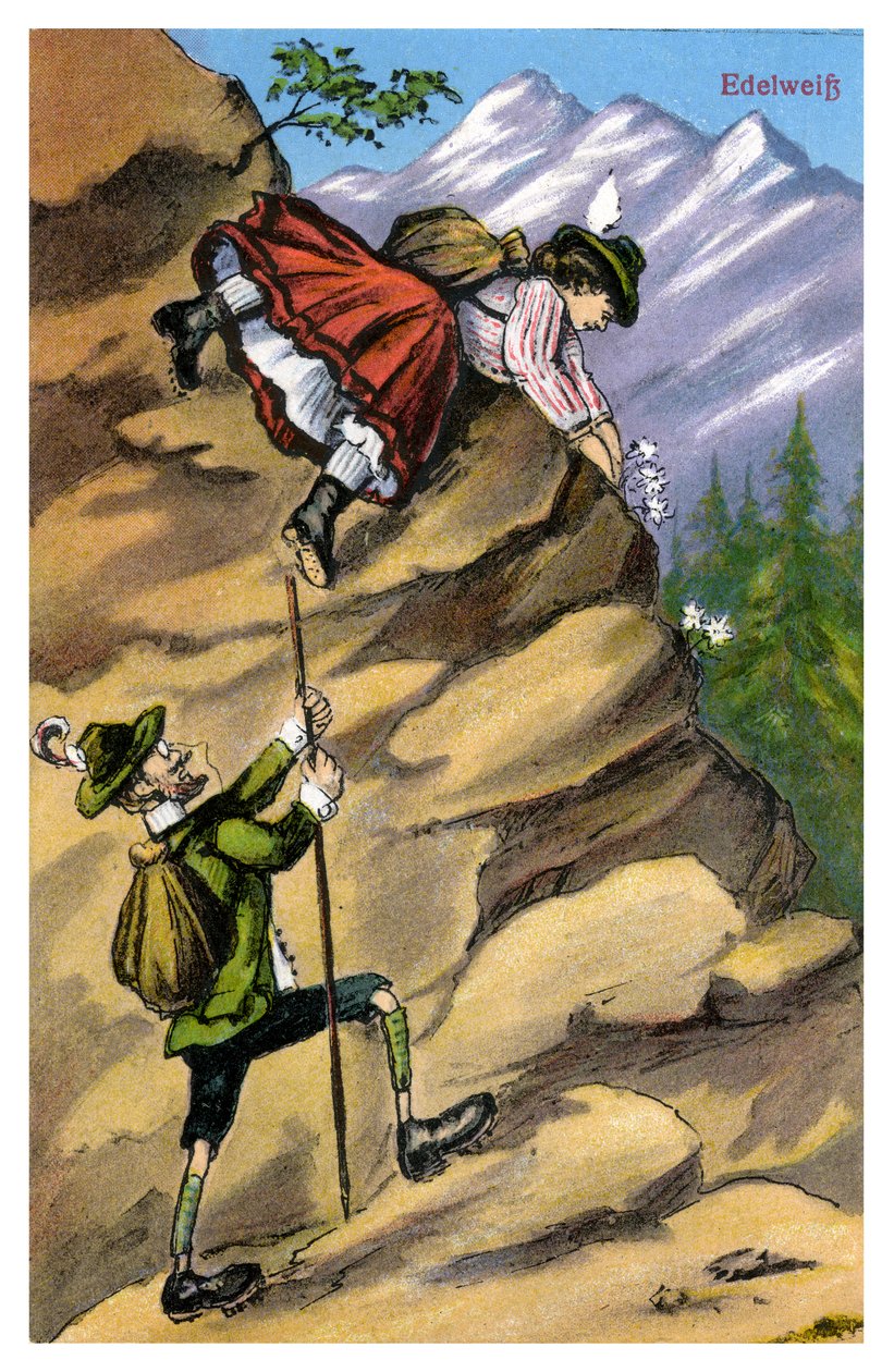 Edelweiss, sent 1800-tal eller tidigt 1900-tal av Unbekannt