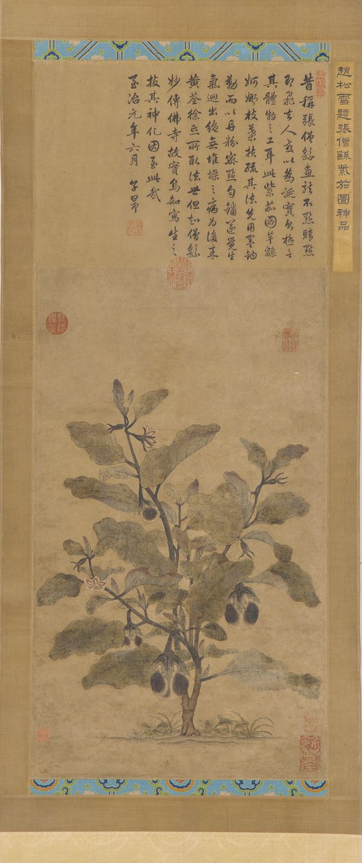 Aubergine, Mingdynastin, 1368-1644. av Unbekannt
