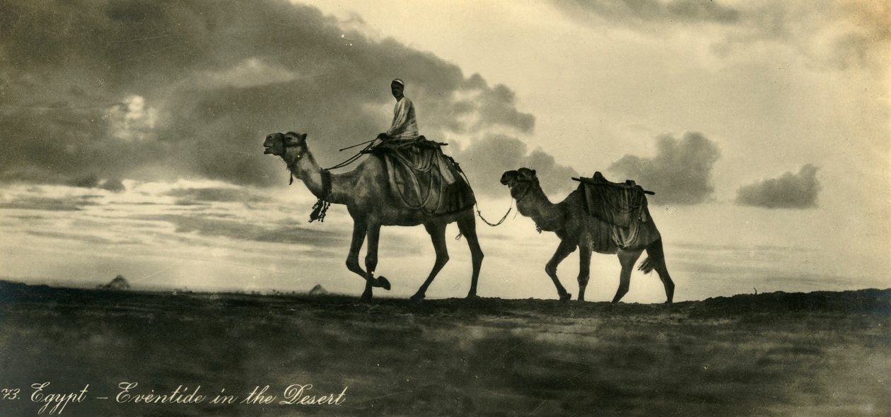 Egypten - Eventide i öknen, c1918-c1939. av Unbekannt