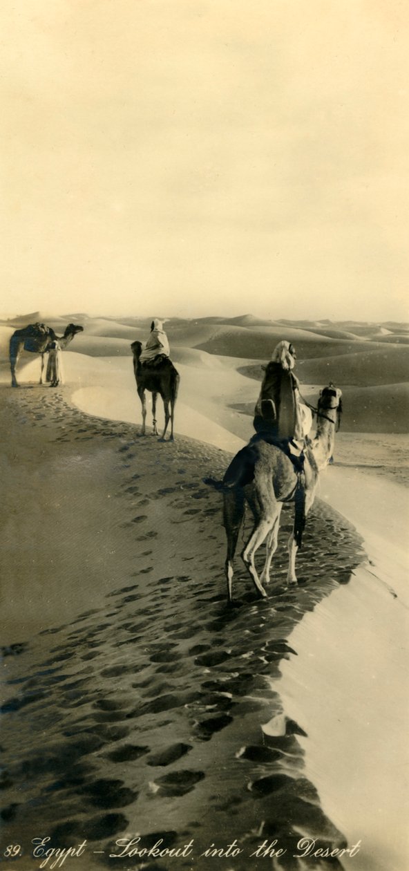 Egypten - Lookout into the Desert, c1918-c1939. av Unbekannt
