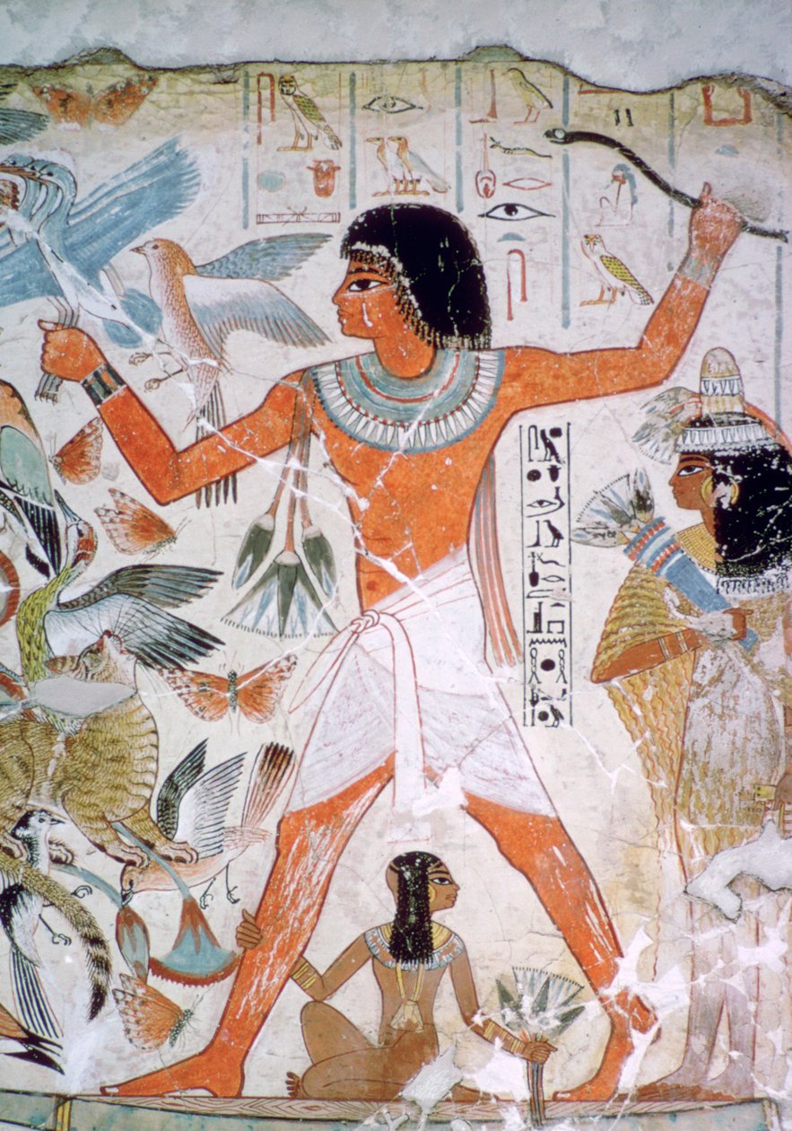 Egyptisk väggmålning av fågelfågel av Unbekannt