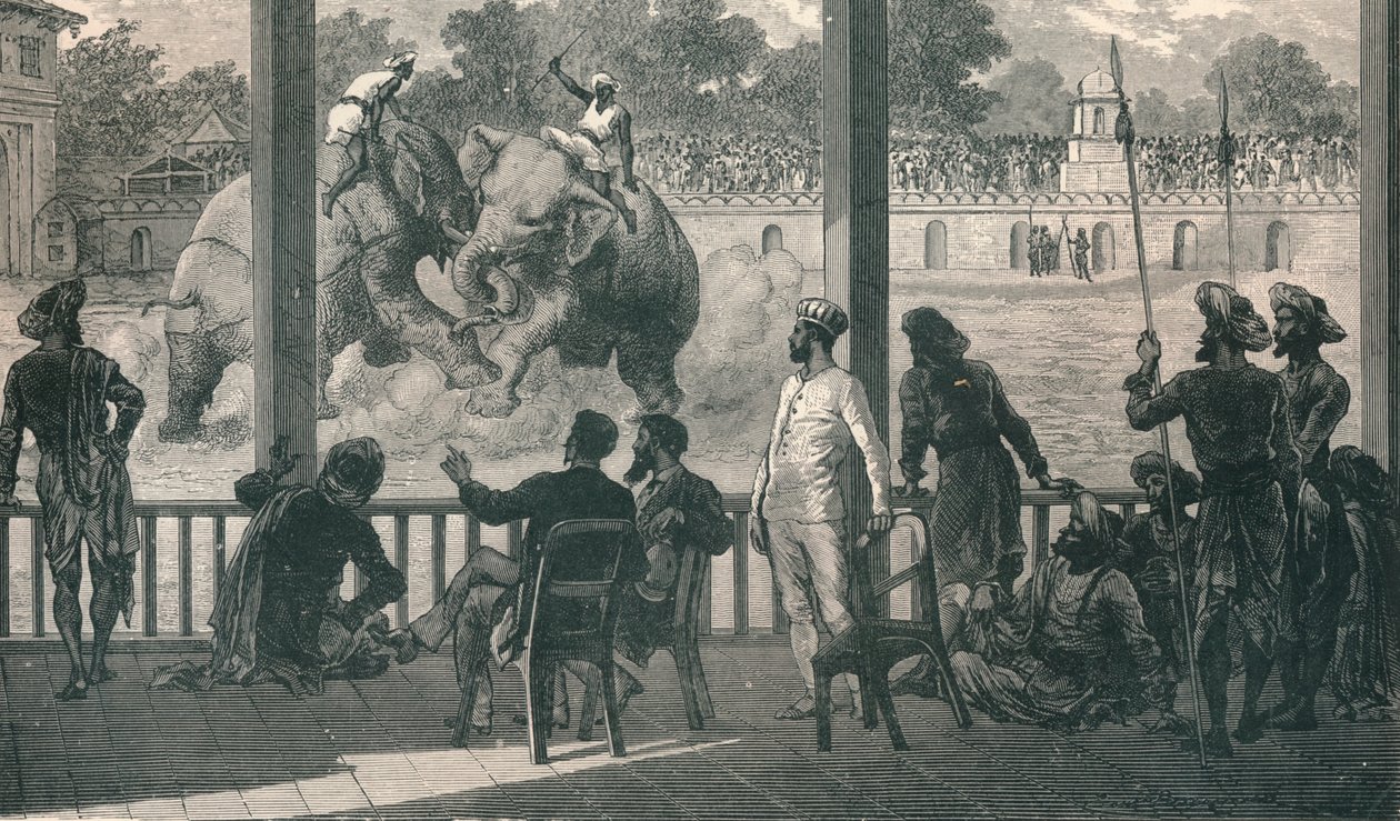 Elefantkamp vid Baroda, 1896 av Unbekannt