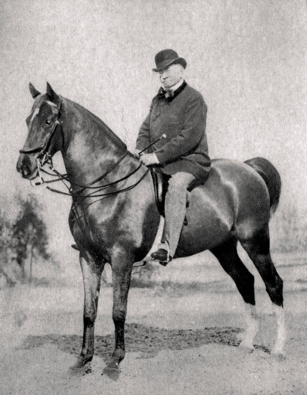 Emile de Girardin, fransk journalist, publicist och politiker, 1866 av Unbekannt