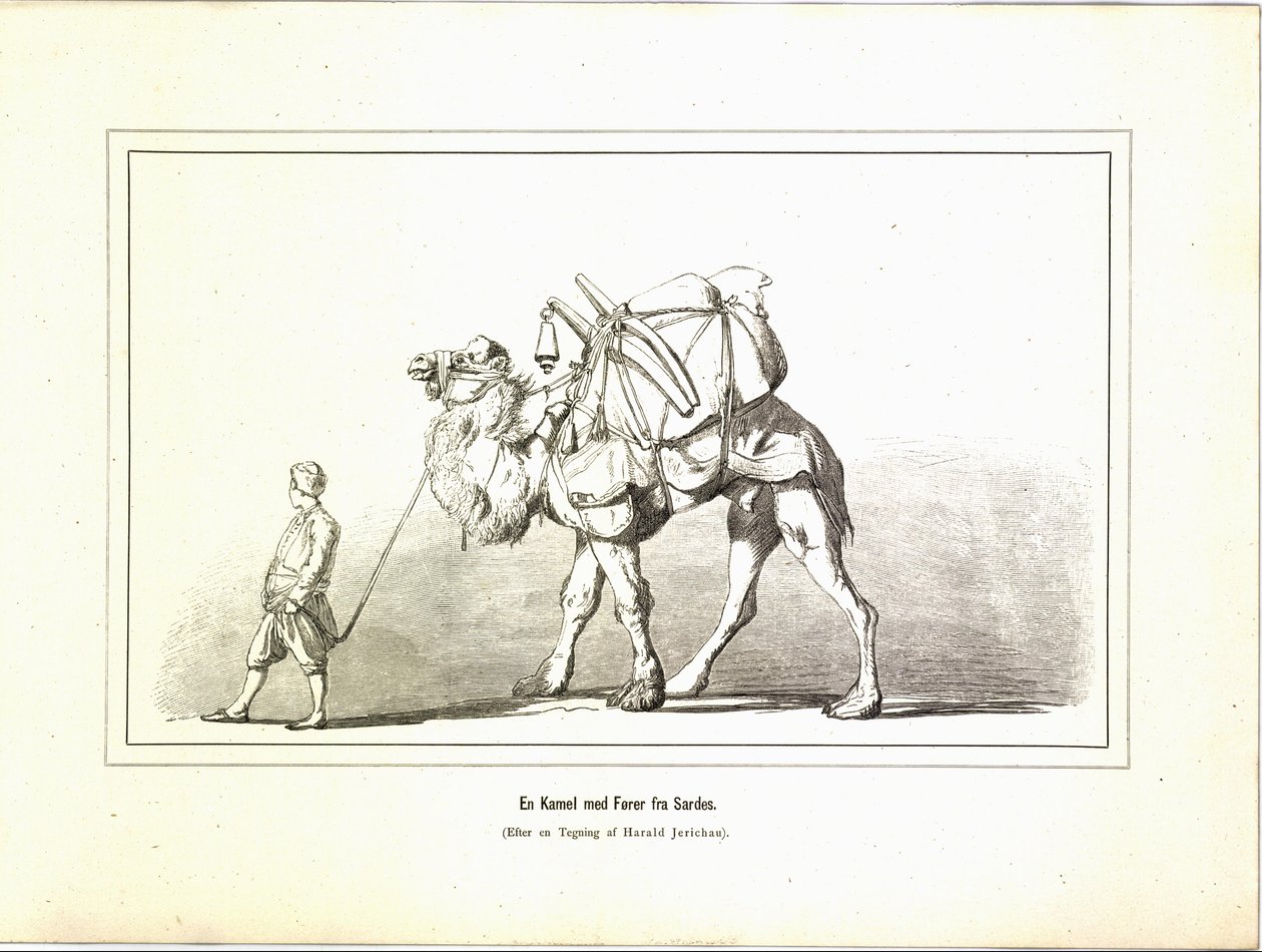 En kamel med en ledare från Sardis. Illustration hämtad från boken Variegated travel pictures av Jerichau-Baumann, Elisabeth och utgiven av Forlagsbureauet (Köpenhamn, 1881) av Unbekannt