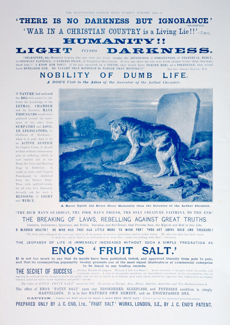 Enos fruktsaltannons, 1899 av Unbekannt