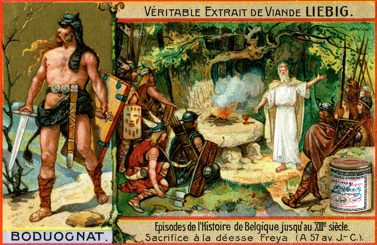 Avsnitt i Belgiens historia fram till 1200-talet: Boduognatus, c1900 av Unbekannt
