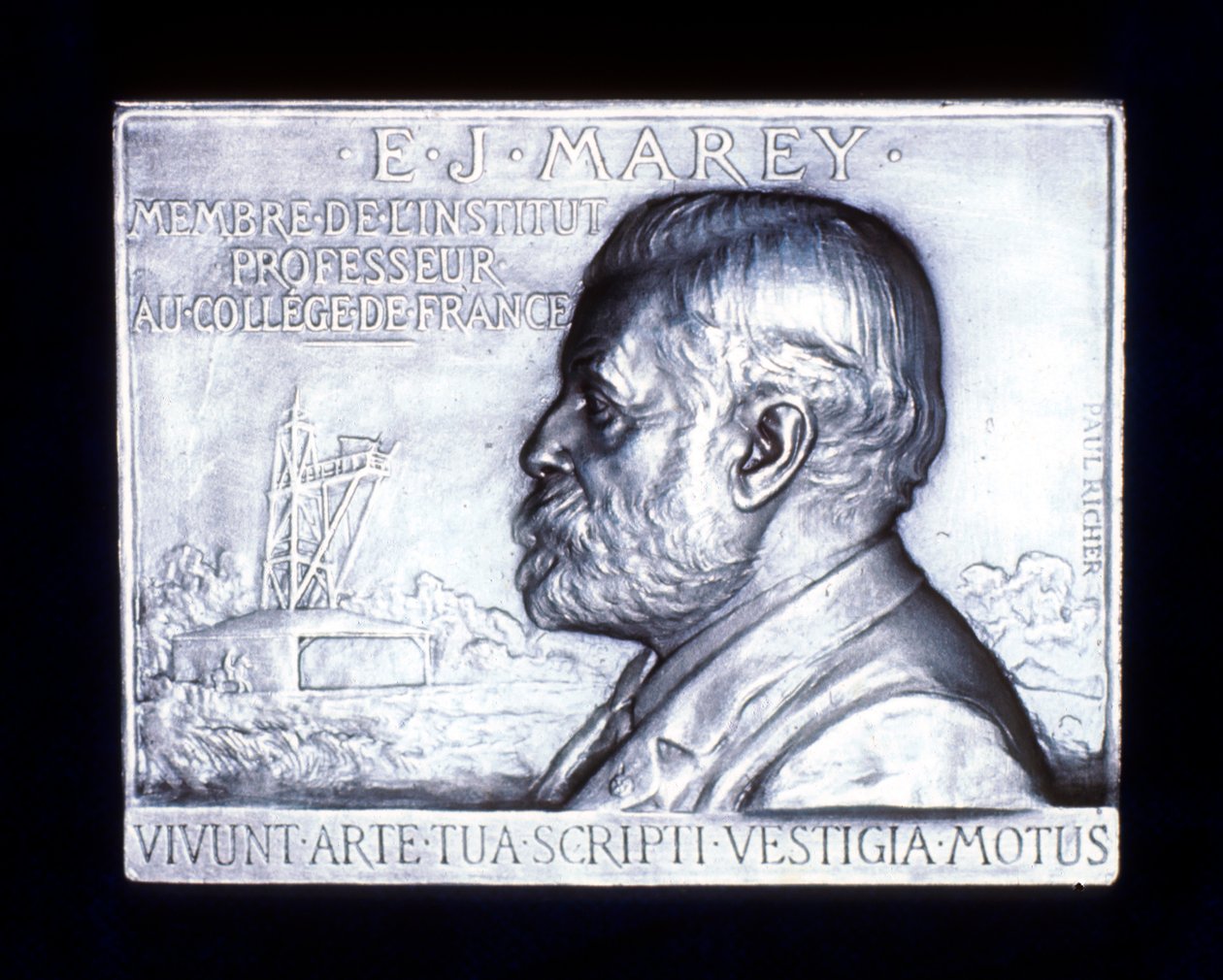 Etienne Jules Marey 1830-1903, fransk fysiolog, 1800-talet av Unbekannt