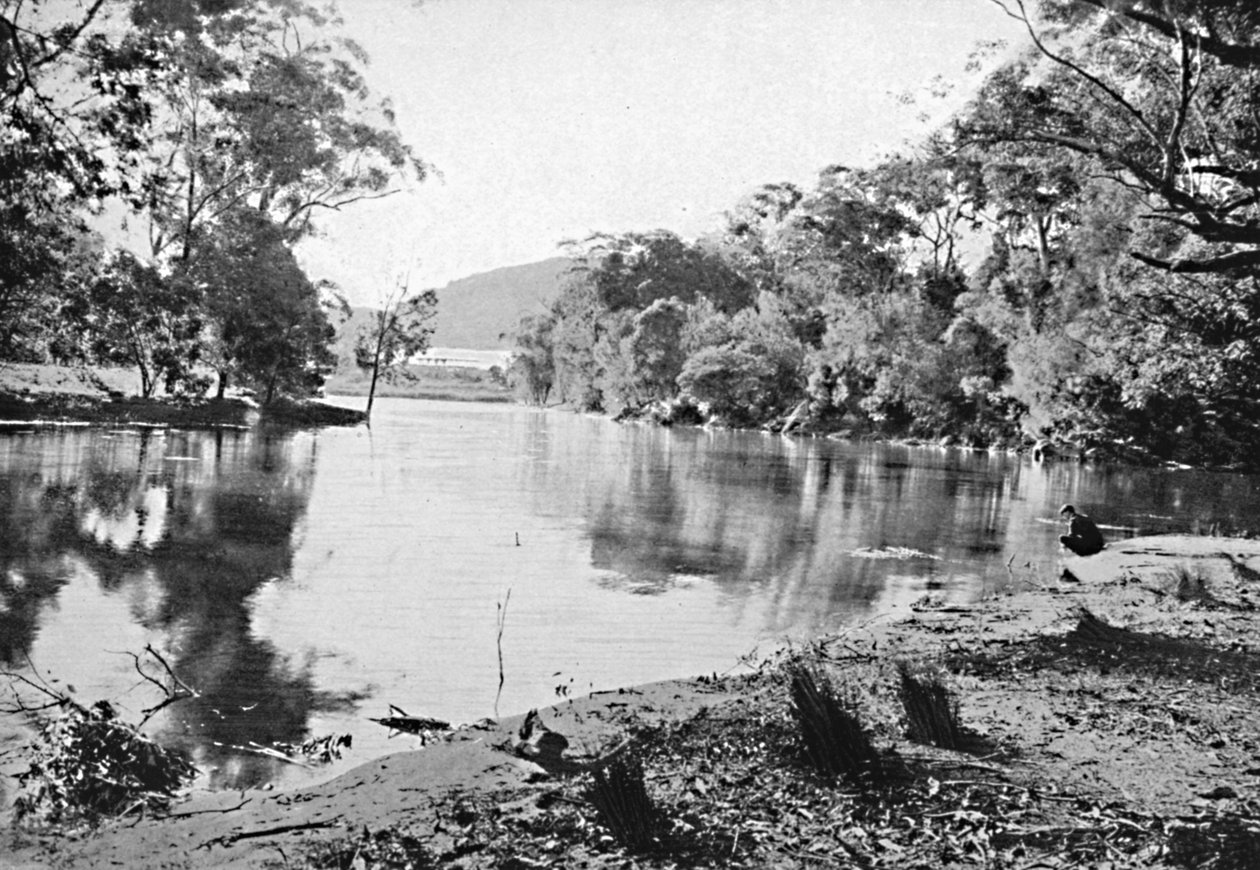 Evening Shadows, National Park, c1900. av Unbekannt