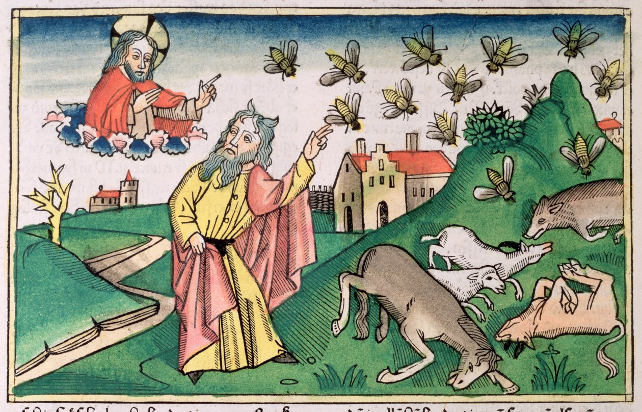 2 Mosebok 8:20-32: Mose och flugsvärmen, en av Egyptens sju plågor av Unbekannt
