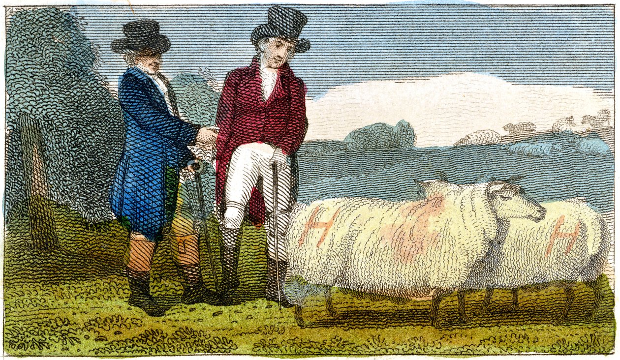 Bönder diskuterar Dishley New Leicester-får, 1822 av Unbekannt