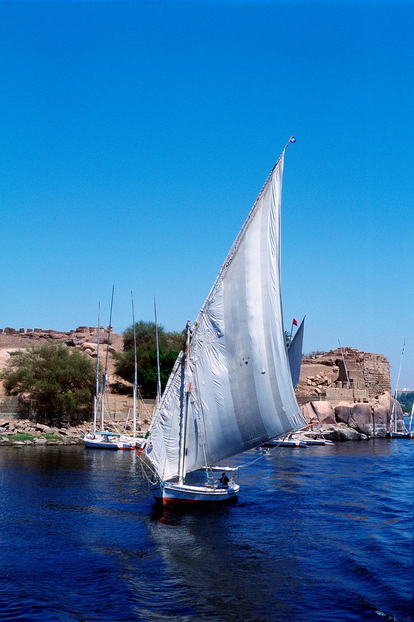 Feluccas på Nilen, Elephantine Island nära Aswan, moderna Egypten av Unbekannt