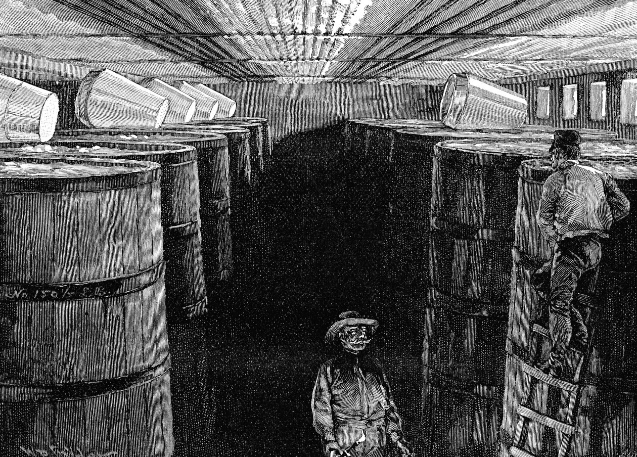 Jäskällare i ett amerikanskt bryggeri, 1885 av Unbekannt