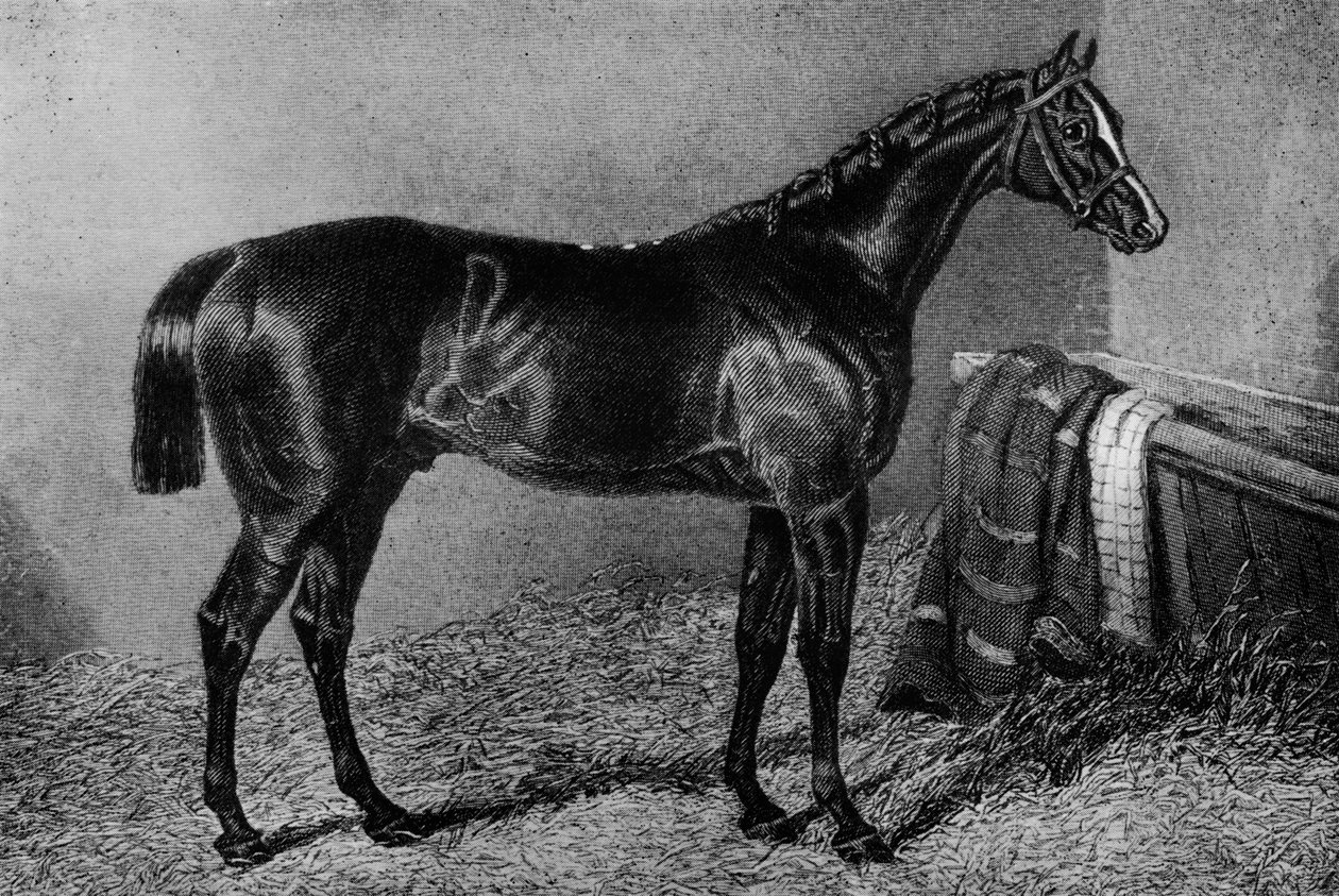 En jävel, 1812-1835, 1911 av Unbekannt