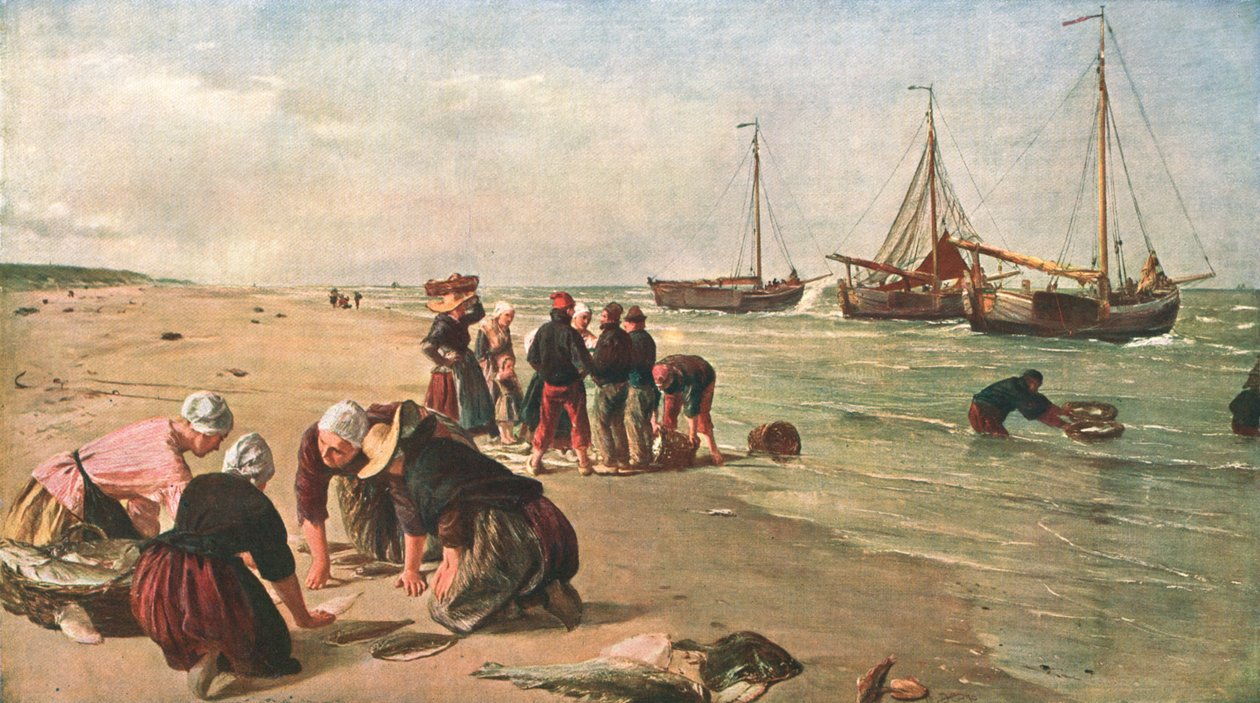 Fisk från Doggersbanken, Scheveningen, Holland, 1870, c1902. av Unbekannt