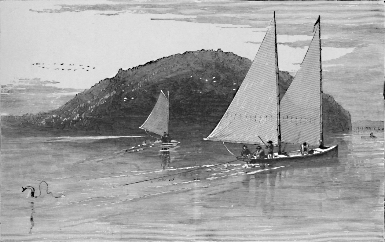 Fiske från en segelbåt, 1883 av Unbekannt