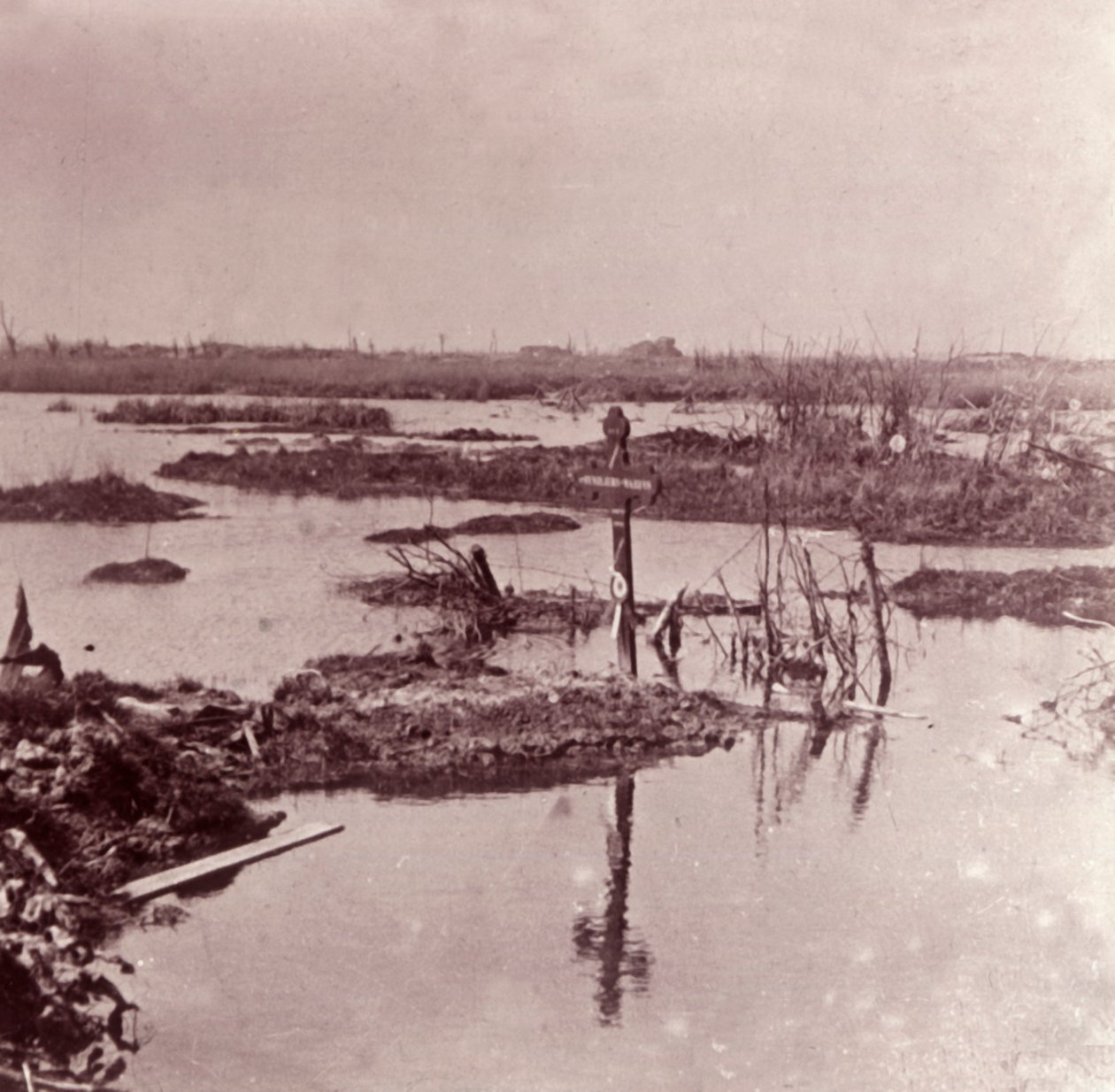 Översvämning, Flandern, Belgien, c1914-c1918 av Unbekannt