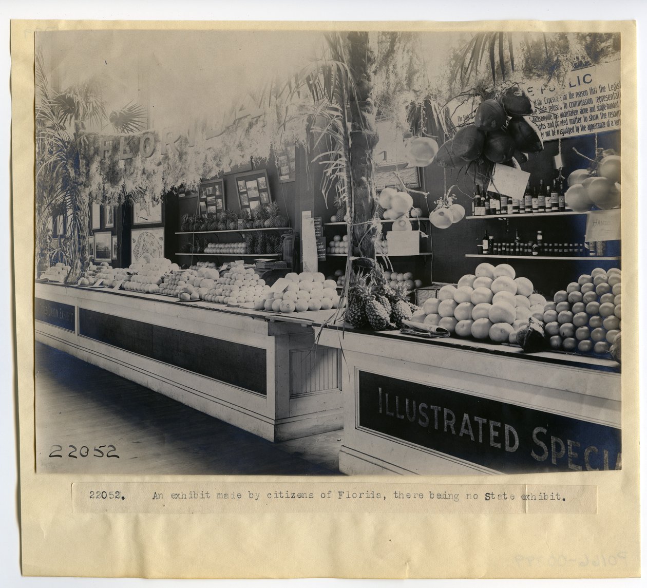 Florida horticulture exhibit in the Palace of Horticulture at the 1904 World