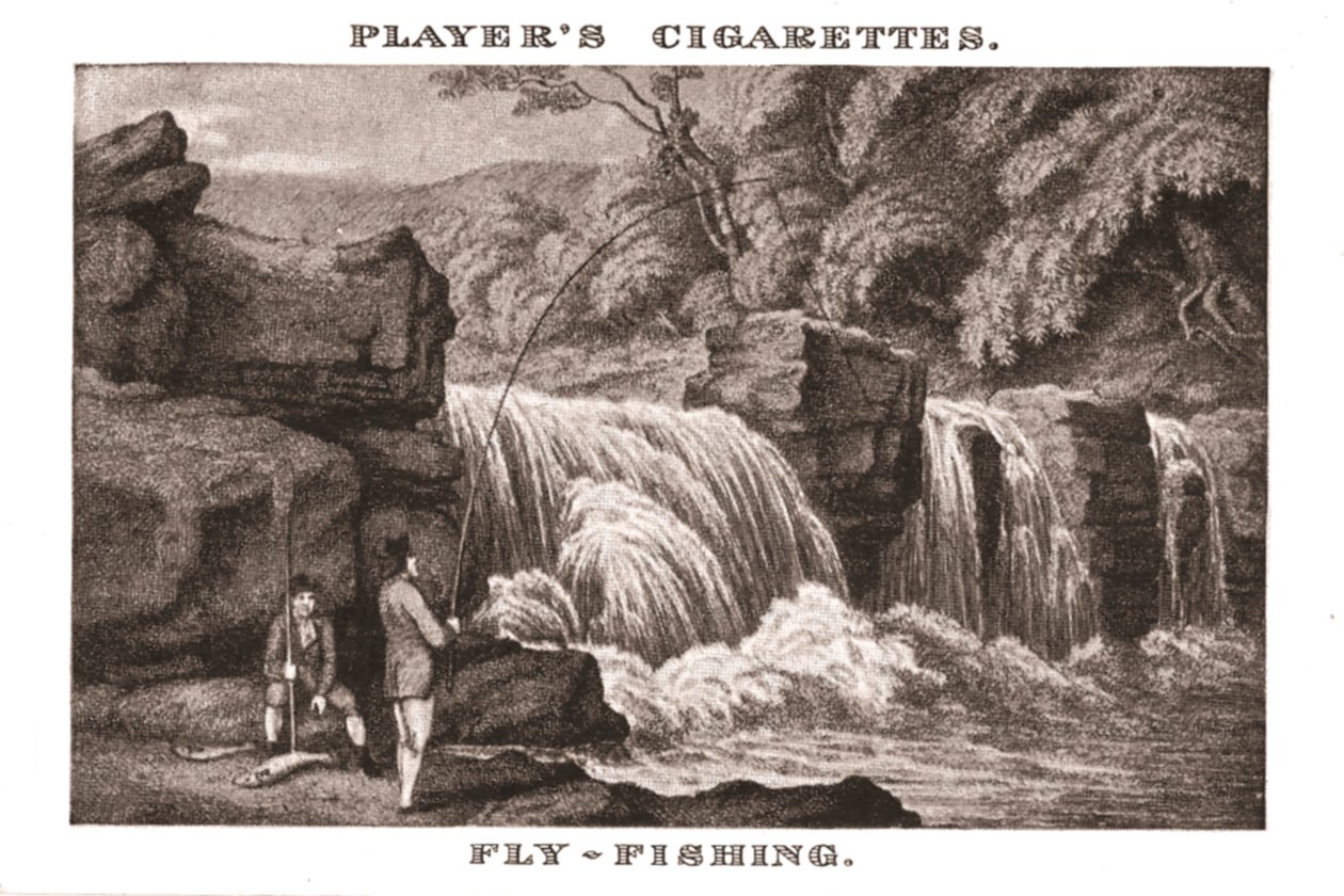 Flugfiske, 1924. av Unbekannt