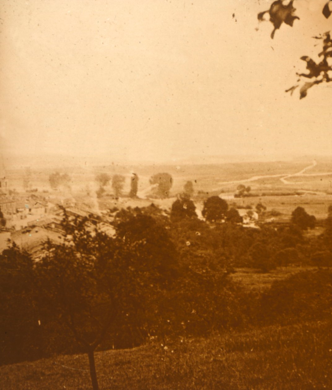 Forest of Argonne, norra Frankrike, c1914-c1918 av Unbekannt