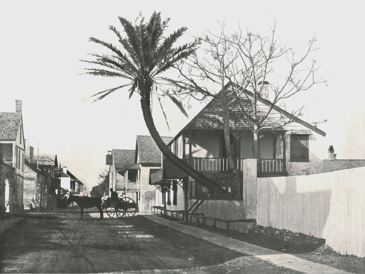 Francis Street, St Augustine, USA, 1895. av Unbekannt