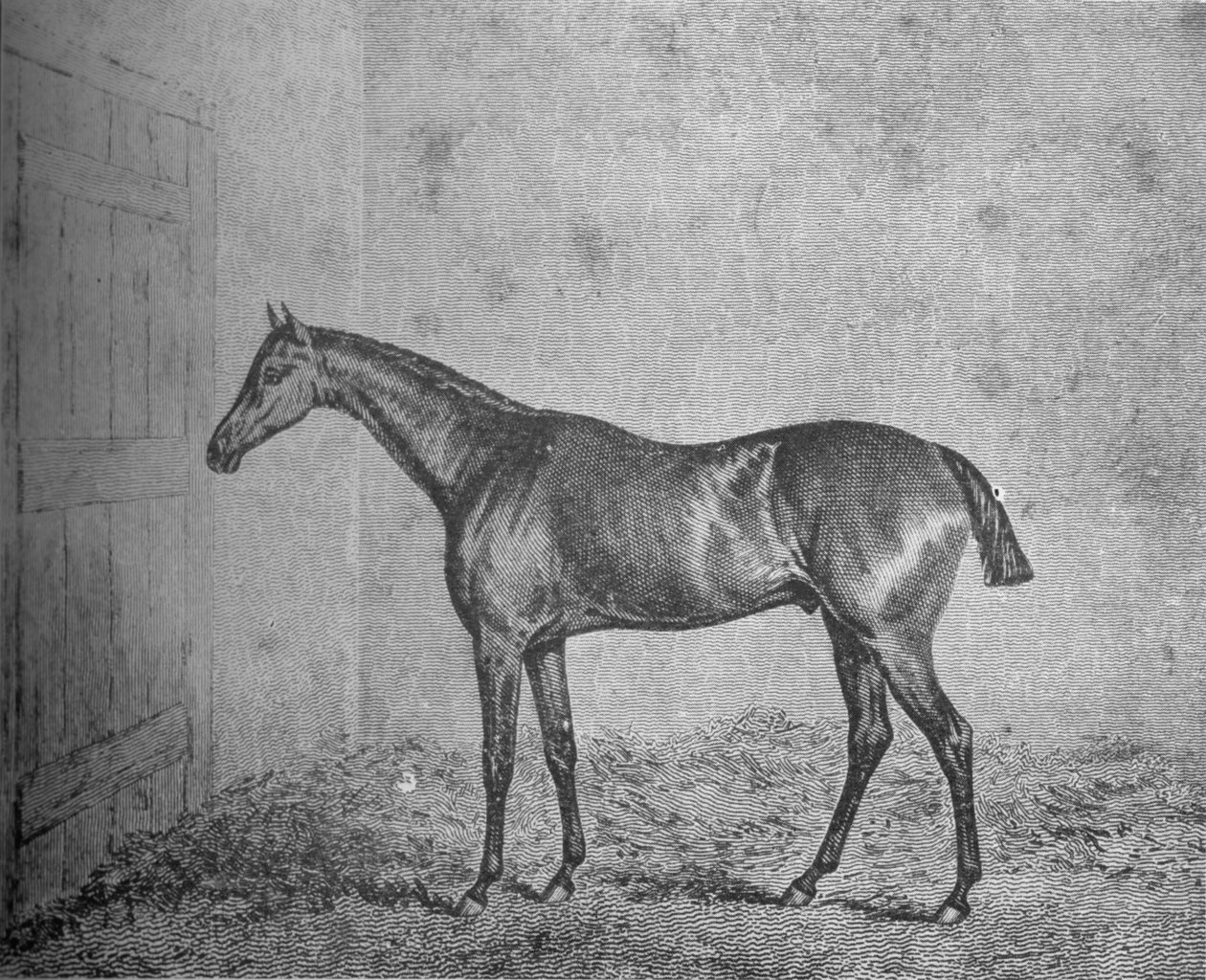 Fredrik, 1826-1837, 1911 av Unbekannt