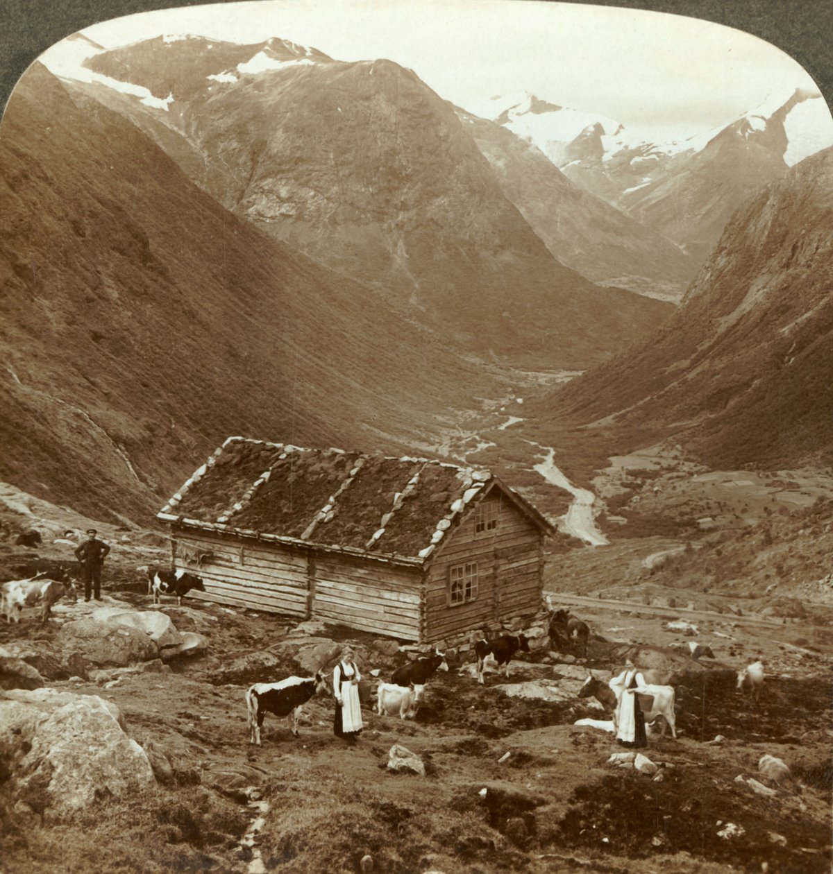 Från fjällvärdshuset vid Vidde saeter nerför Viddedalen - Skaalaberget på rätt avstånd, c1905. av Unbekannt