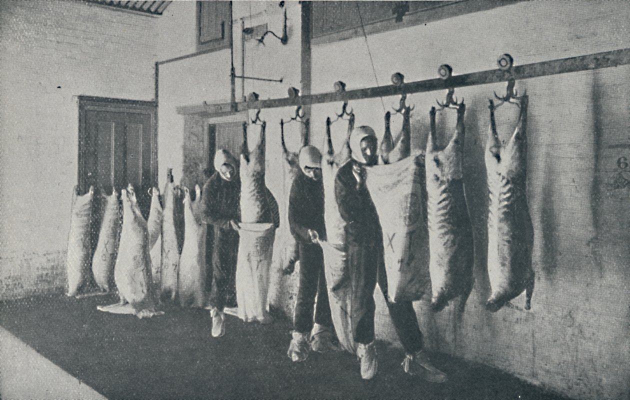 Fryst kött, 1910 av Unbekannt