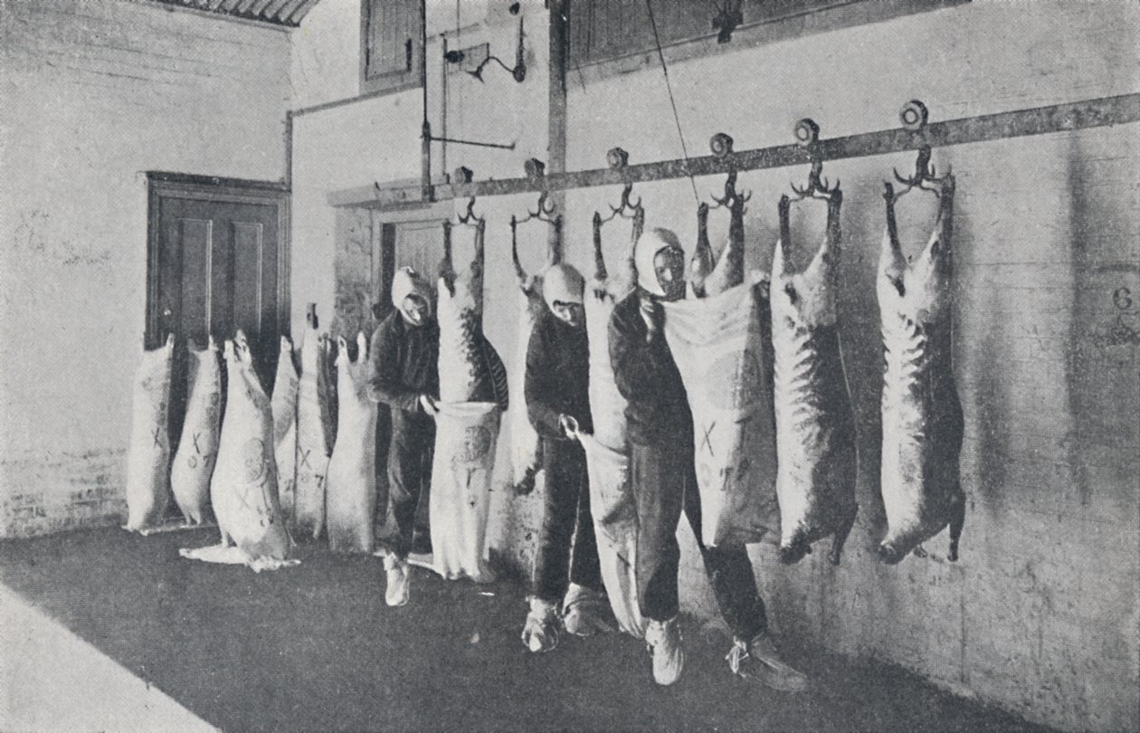 Fryst kött, 1923. av Unbekannt