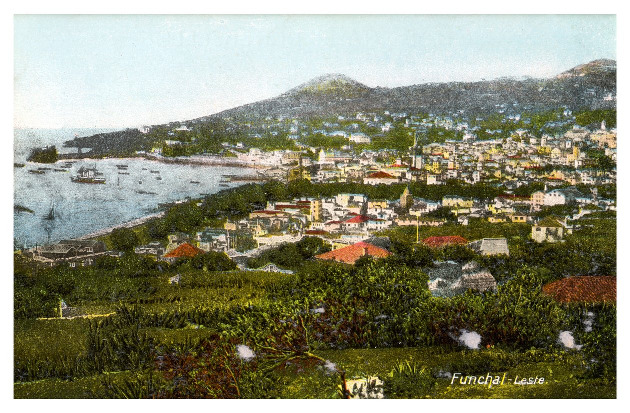 Funchal, Madeira, tidigt 1900-tal av Unbekannt