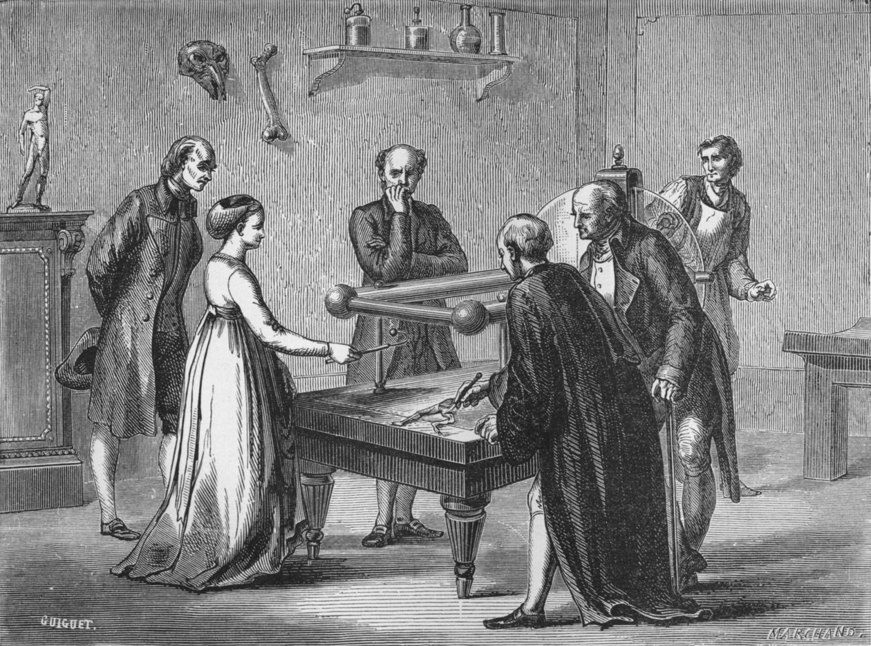 Galvanis upptäckt, 1780 1894 av Unbekannt