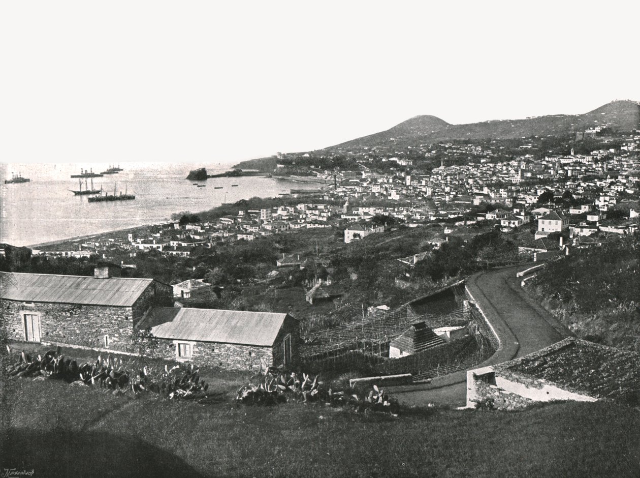 Översikt över Funchal, Madeira, Portugal, 1895. av Unbekannt