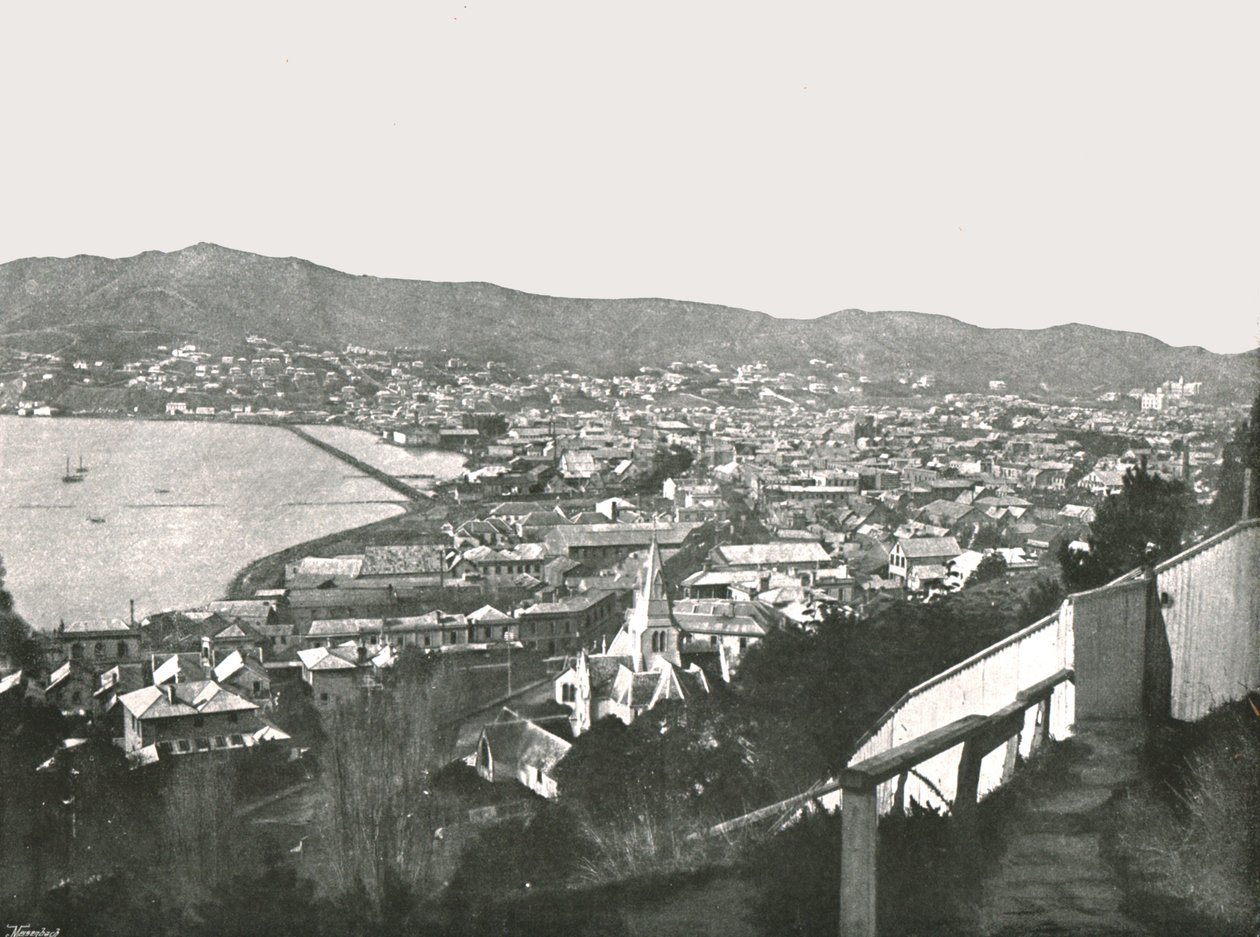 Allmän bild av staden, Wellington, Nya Zeeland, 1895. av Unbekannt