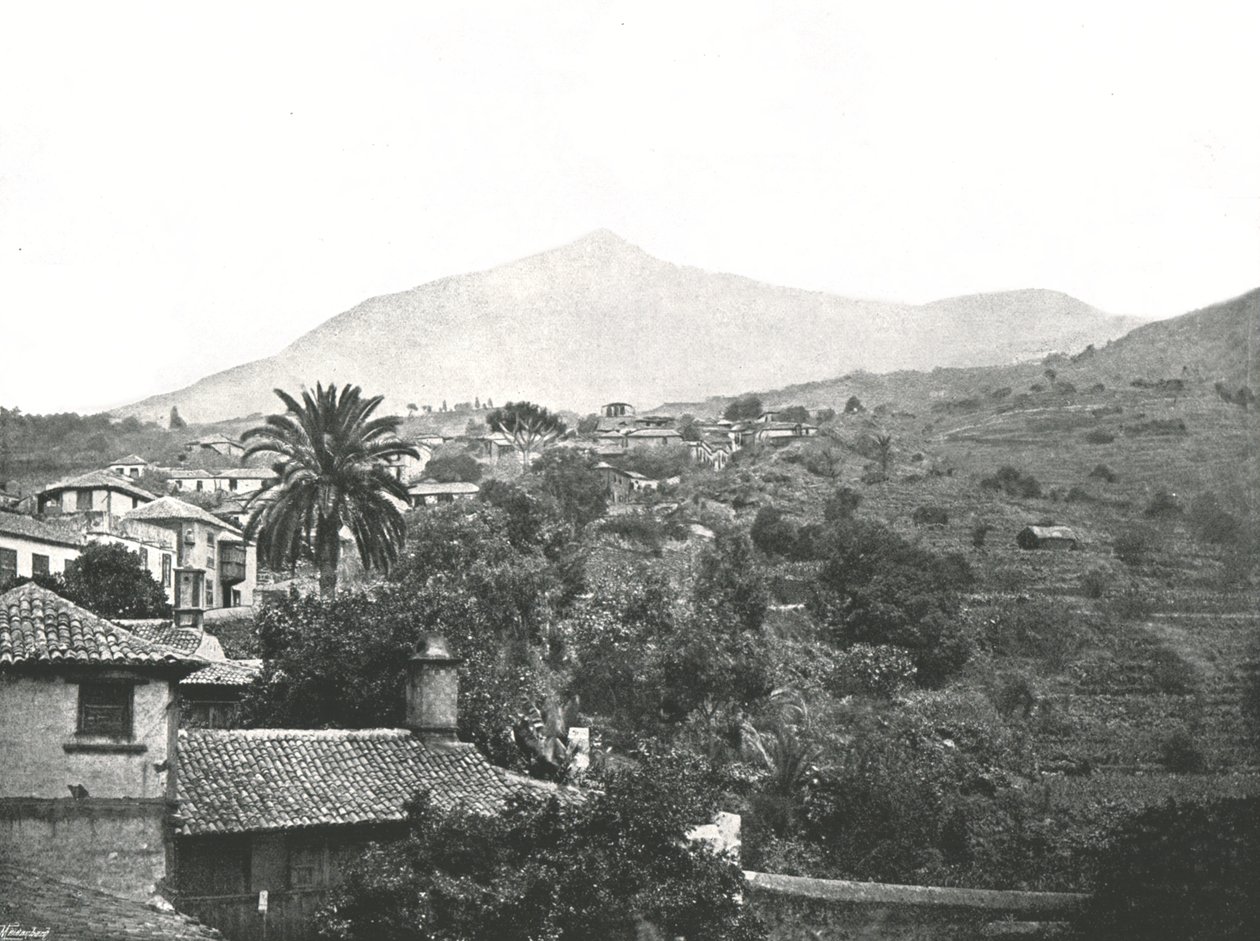 Allmän vy som visar toppen, Teneriffa, Kanarieöarna, Spanien, 1895. av Unbekannt