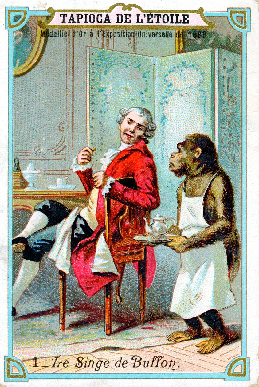 George-Louis Leclerc, Comte de Buffon, fransk naturforskare från 1700-talet, c1890 av Unbekannt