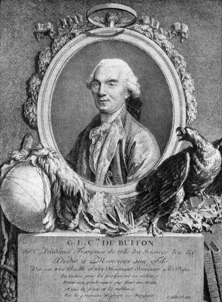 Georges-Louis Leclerc, Comte de Buffon, fransk naturforskare, 1700-talet av Unbekannt