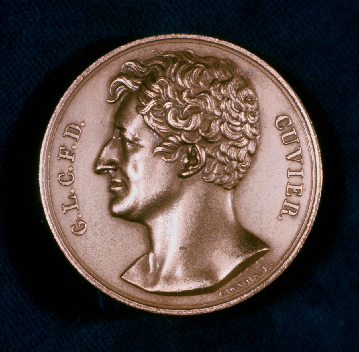 Georges Leopold Chretien Frederic Dagobert, Baron Cuvier, fransk anatom, 1800-talet av Unbekannt