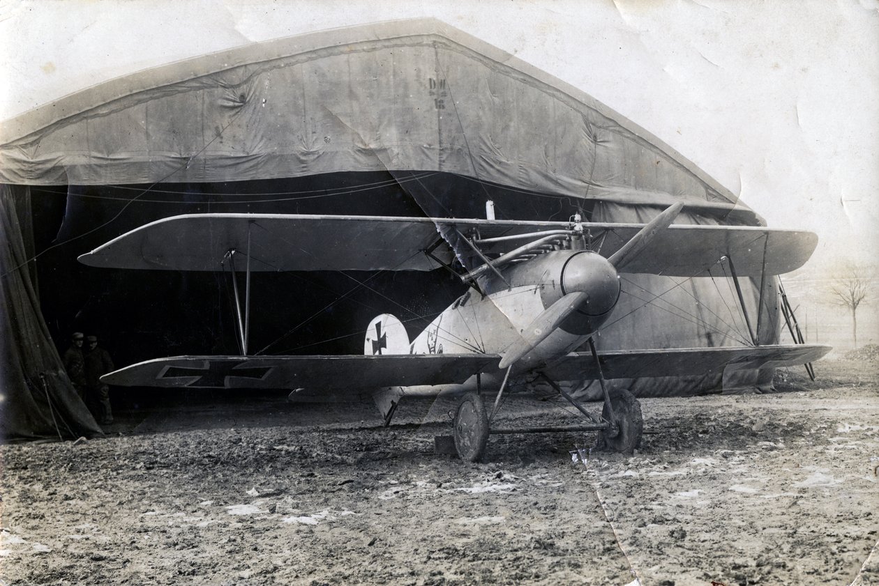 Tyska Albatros DV, Souilly, Frankrike, 2 januari 1918 av Unbekannt